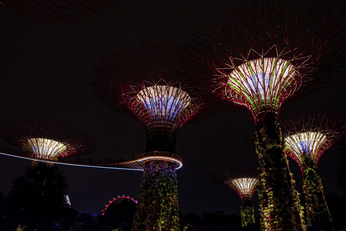 gardens by the bay supertree grove evening